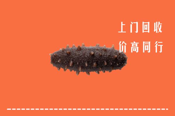 高价求购：贵阳回收海参